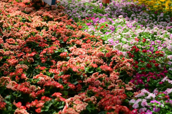 How can I choose the best curtains to complement my home decor?